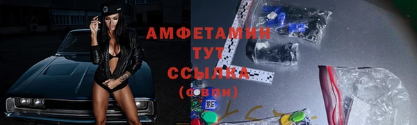 эйфоретик Няндома