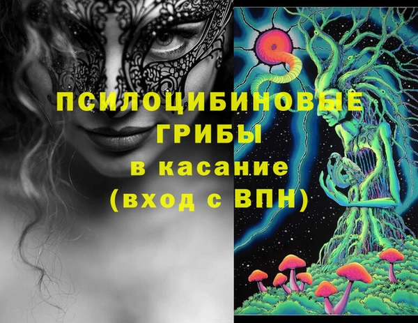 бошки Абдулино