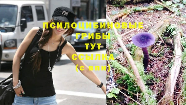 прущие крисы Абинск