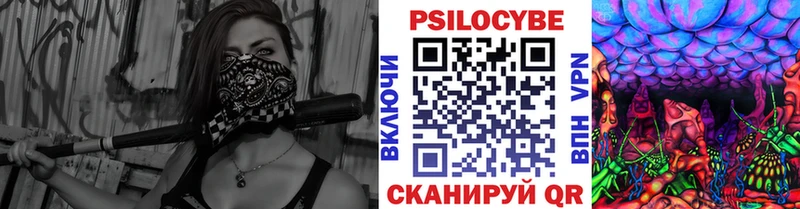 где купить   Каменка  Псилоцибиновые грибы прущие грибы 